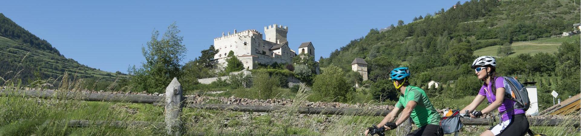 Bikeshuttle Obervinschgau